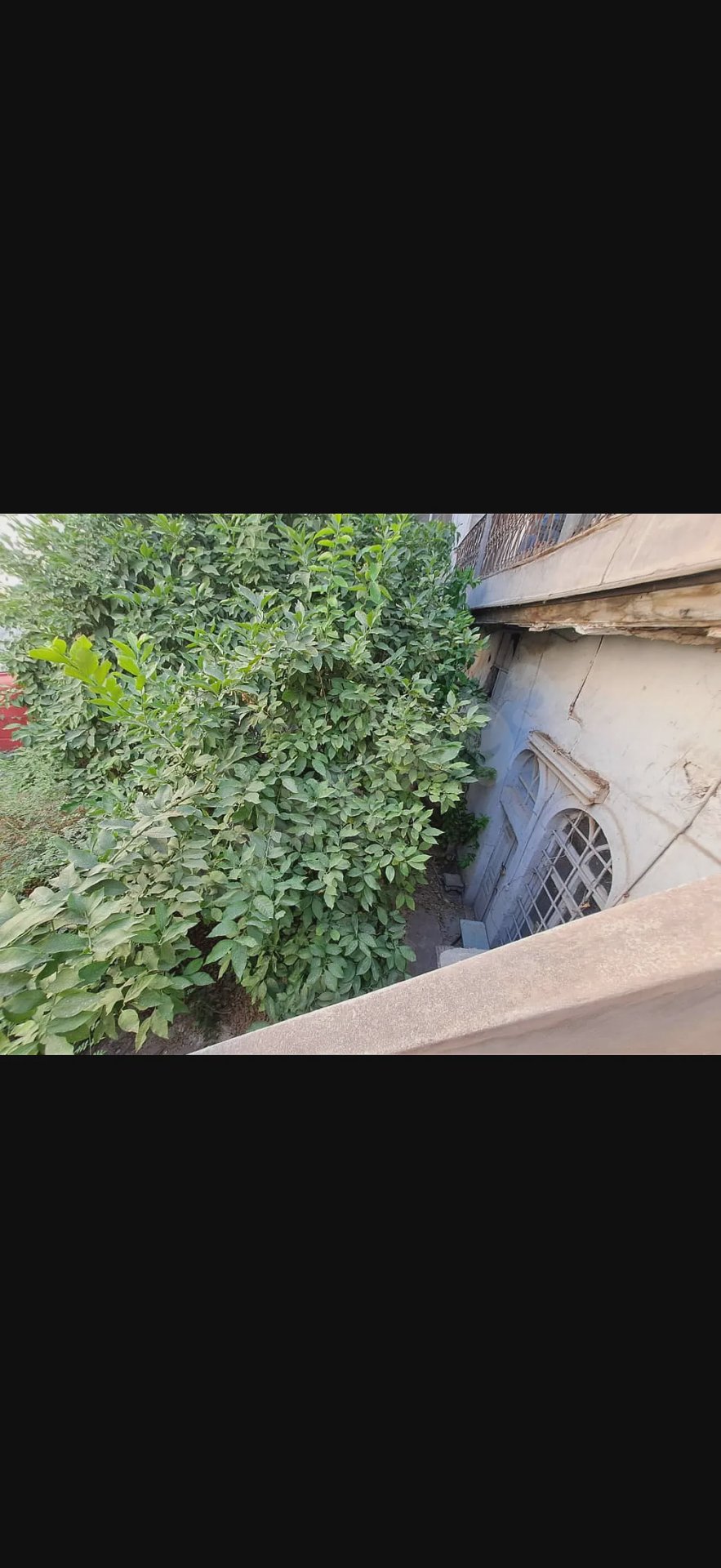 للبيع بيت عربي بدمشق لقديمي اثري طابقين بحاجة لصيانة طابو اخضر